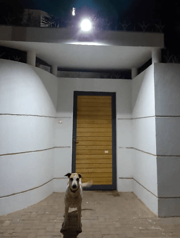 Petit lampadaire à détection de présence — LSJ 007