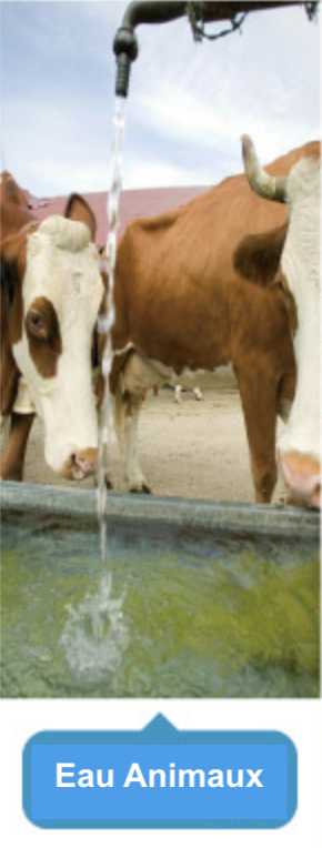 Réseau d’irrigation alimenté par pompe solaire